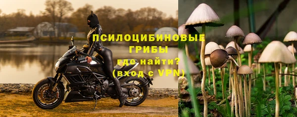 2c-b Верхний Тагил