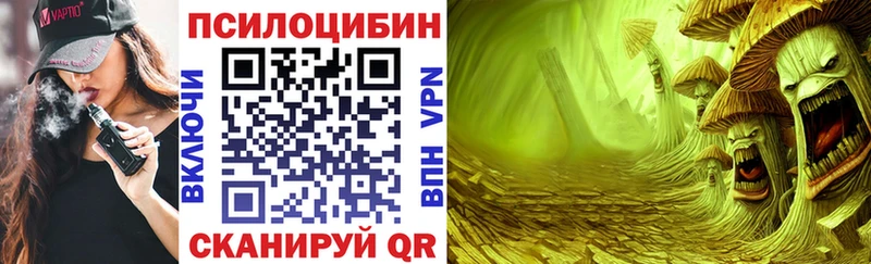 купить наркоту  Хабаровск  Галлюциногенные грибы прущие грибы 